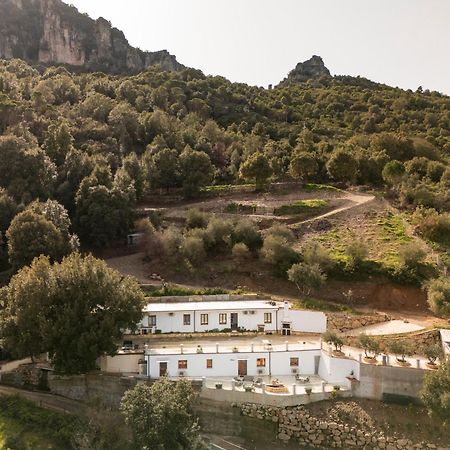 Casa Jerzu S'Essia De Su Santu Villa Eksteriør billede